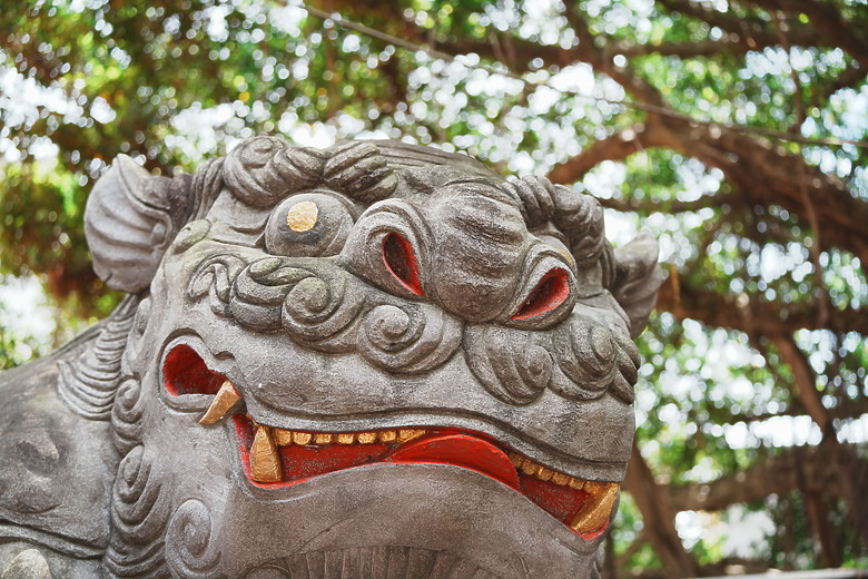 點我看大圖 Tamron 50-300mm f/4.5-6.3 Di III VC VXD(A069)評測報告|戶外取景更便利、近攝能力同步升級!