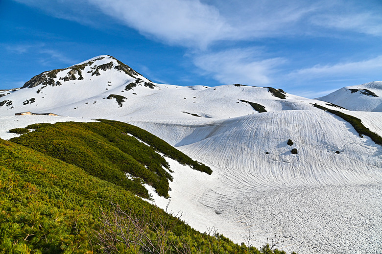 白雪皚皚的立山黑部與鬱鬱葱葱的上高地散步之旅-上
