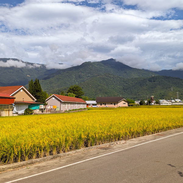 【不是遊記 - 6】關山環鎮自行車道 -- 車道改版前的念想實現