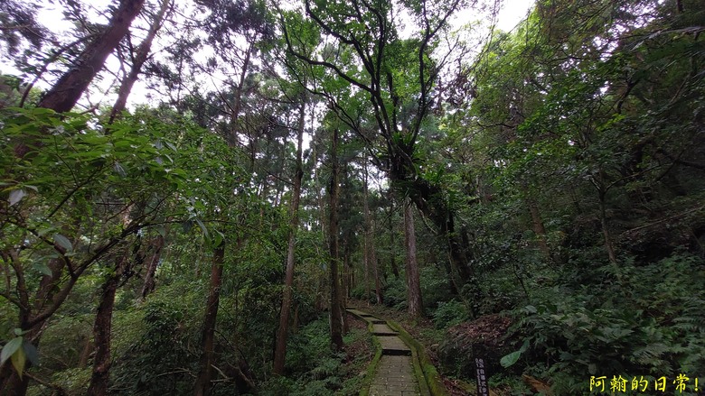 [踢不爛大地遊戲] 輕鬆健行、觀瀑心靜，享受芬多精與負離子 滿月圓國家森林遊樂區步道群