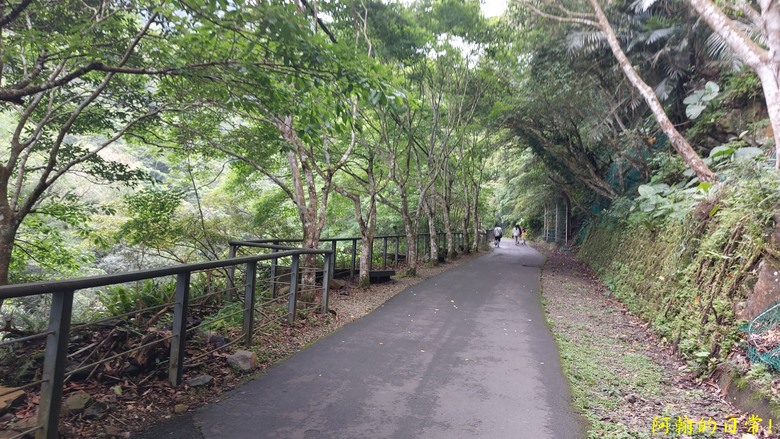 [踢不爛大地遊戲] 輕鬆健行、觀瀑心靜，享受芬多精與負離子 滿月圓國家森林遊樂區步道群