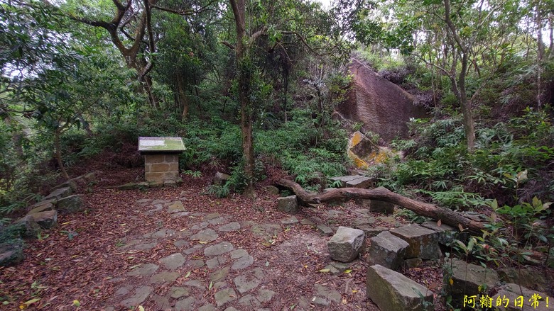[踢不爛大地遊戲] 走岩壁上山，360度開闊視野，層層山巒、市區景色，盡收眼底 內湖金面山親山步道