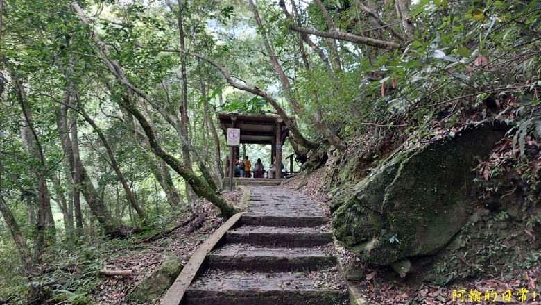 [踢不爛大地遊戲] 輕鬆健行、觀瀑心靜，享受芬多精與負離子 滿月圓國家森林遊樂區步道群