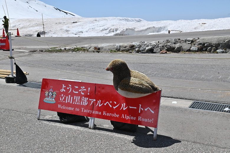 白雪皚皚的立山黑部與鬱鬱葱葱的上高地散步之旅-上