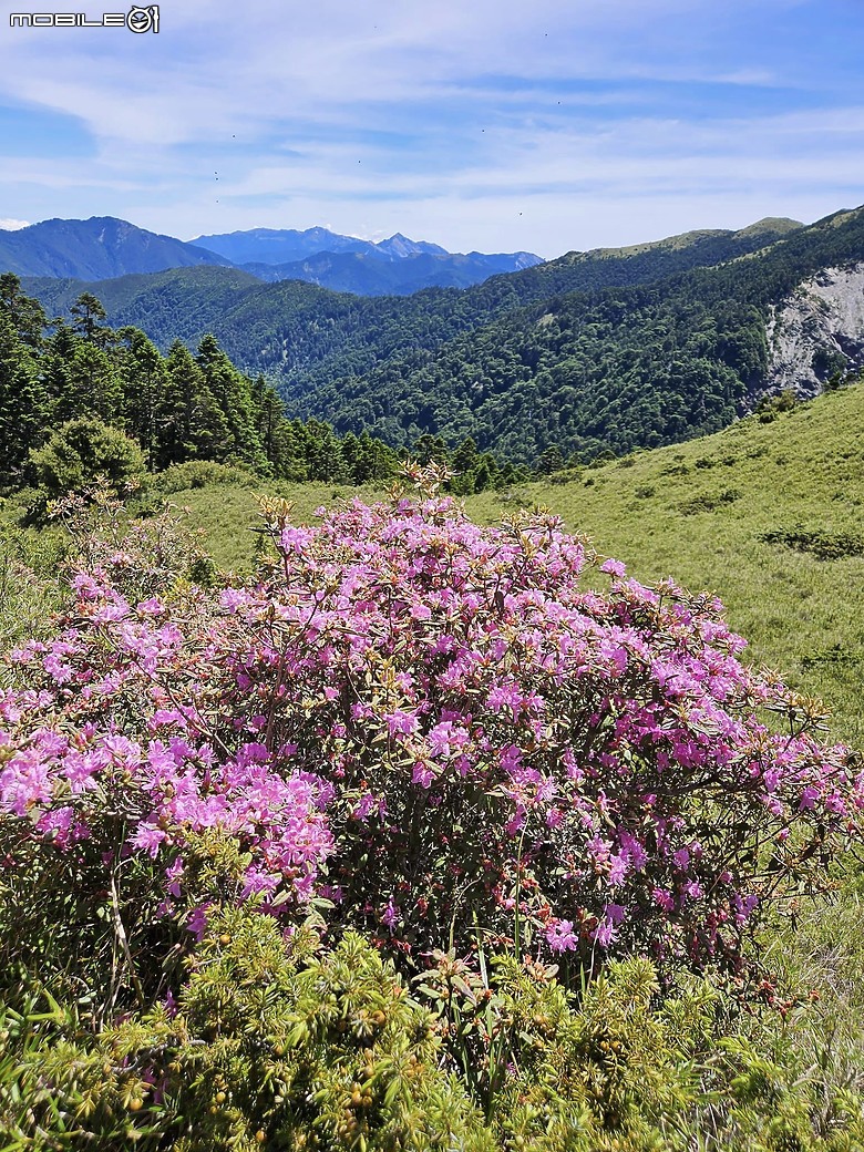 點我看大圖 合歡西北峰!日出美景值得一訪~