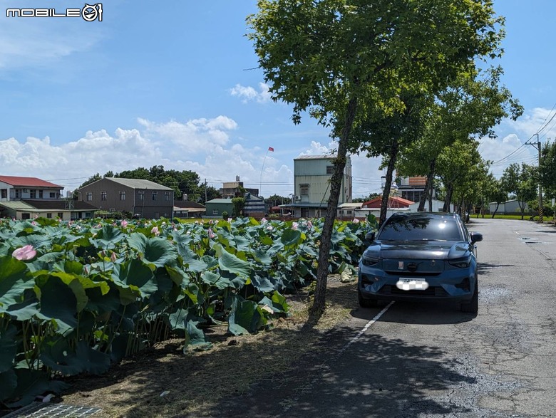 體驗 Volvo「純電未來友購有禮」－充電儲值金好便利，帶著寵物享受無路線限制的二日隨興之旅！