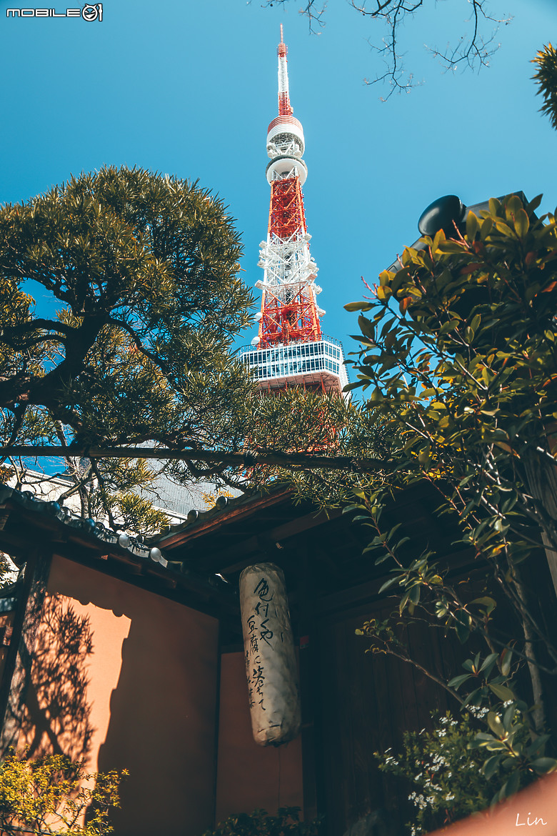 出遊分享 Canon EOS R8 (日本遊記) (停更)