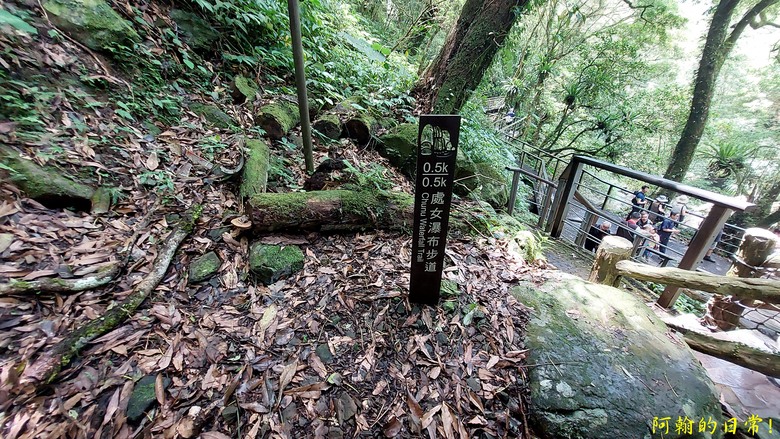 [踢不爛大地遊戲] 輕鬆健行、觀瀑心靜，享受芬多精與負離子 滿月圓國家森林遊樂區步道群