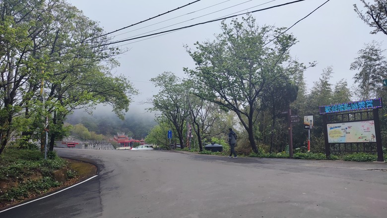 騎遊苗栗公館 | 沒有櫻花的拹雲宮櫻花大道