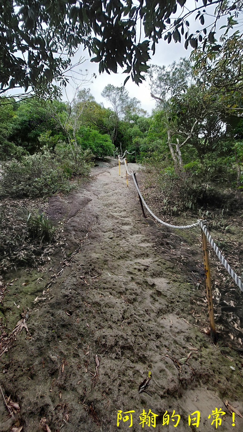 [踢不爛大地遊戲] 走岩壁上山，360度開闊視野，層層山巒、市區景色，盡收眼底 內湖金面山親山步道
