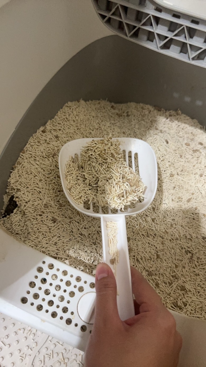 我還年輕,但不知不覺他們就老了