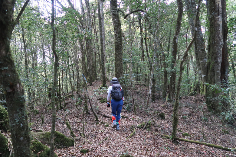 【北霞山】依循特富野古道探訪昔日水山線舊鐵道的歷史遺跡