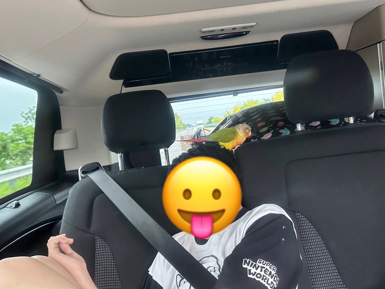 會考結束 再來趟露營車的小小放縱之旅