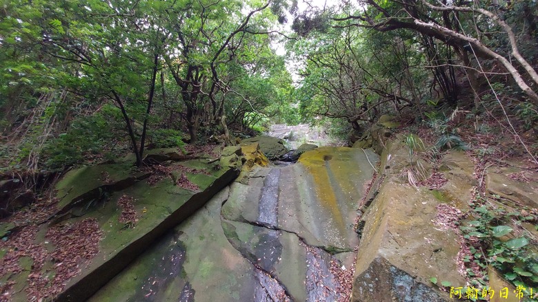 [踢不爛大地遊戲] 走岩壁上山，360度開闊視野，層層山巒、市區景色，盡收眼底 內湖金面山親山步道