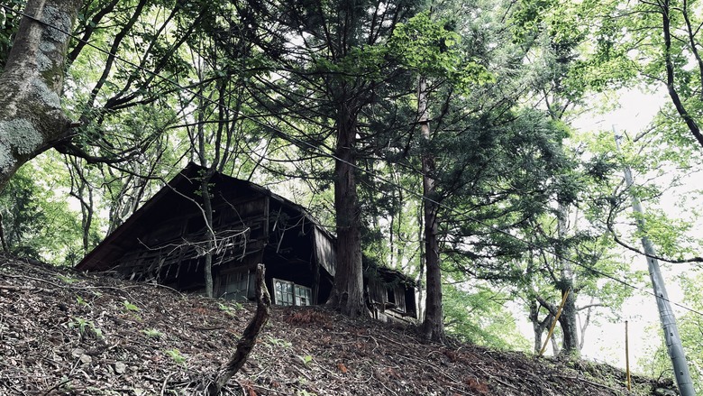 竈門炭治郎的家鄉，日本東京都最高山—雲取山