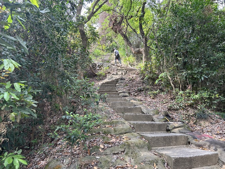 【小惡魔畫蛇添福】輕鬆挑戰台灣小百岳—大社觀音山步道