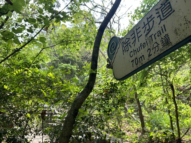 【小惡魔畫蛇添福】輕鬆挑戰台灣小百岳—大社觀音山步道