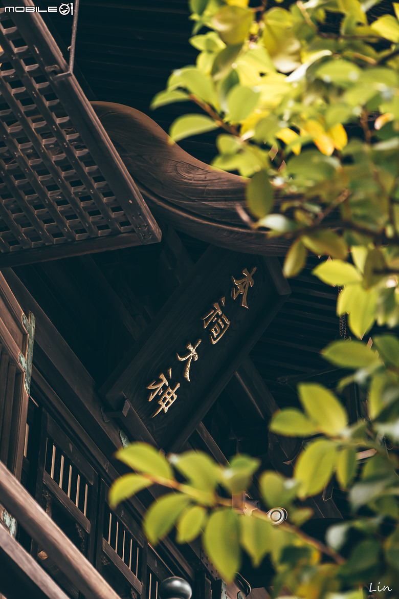 出遊分享 Canon EOS R8 (日本遊記) (停更)