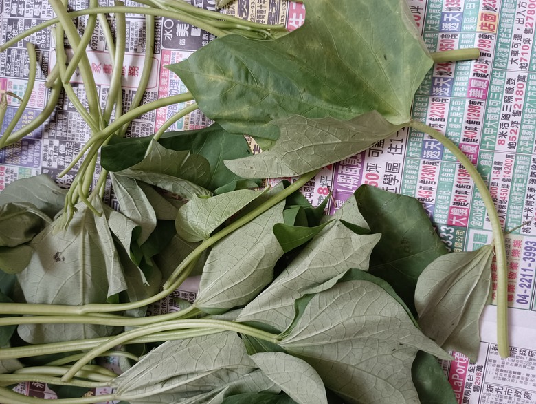 很嫩的地瓜葉要上那買？