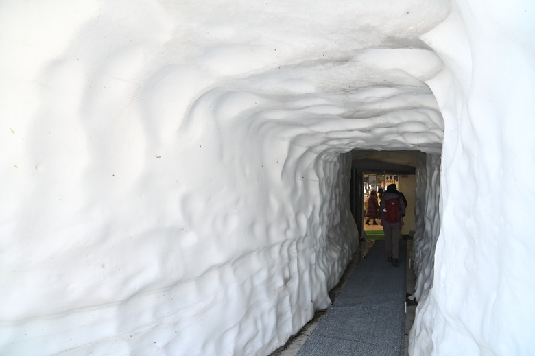 白雪皚皚的立山黑部與鬱鬱葱葱的上高地散步之旅-上