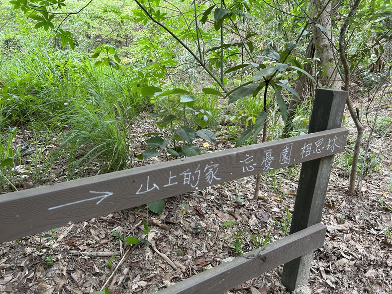 【小惡魔畫蛇添福】輕鬆挑戰台灣小百岳—大社觀音山步道