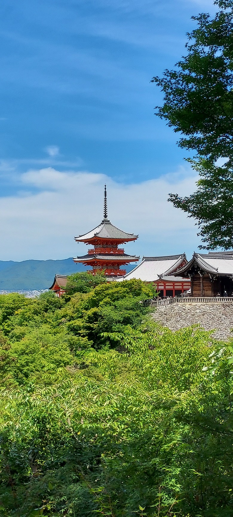 day 3京阪累死之旅