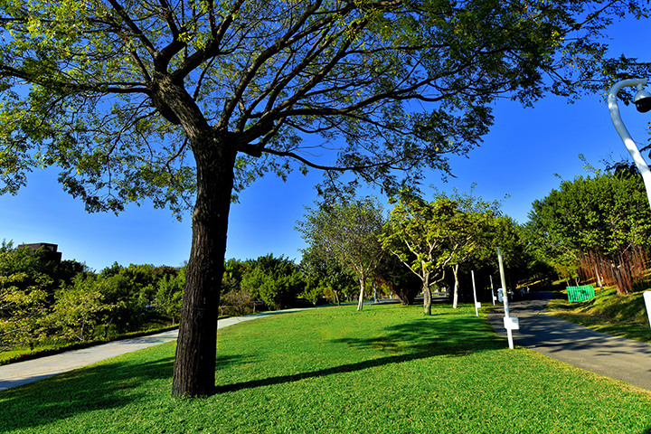 鑽石水湳生活條件超越7期 「當代首馥」磁吸換屋族