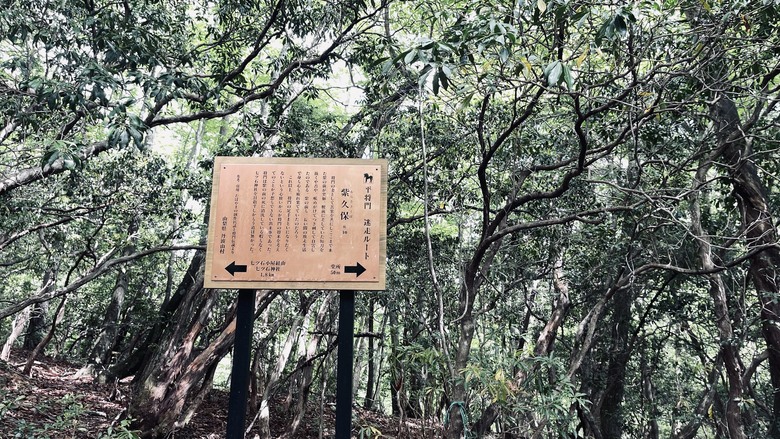 竈門炭治郎的家鄉，日本東京都最高山—雲取山
