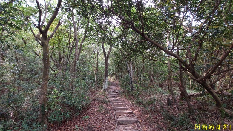 [踢不爛大地遊戲] 走岩壁上山，360度開闊視野，層層山巒、市區景色，盡收眼底 內湖金面山親山步道