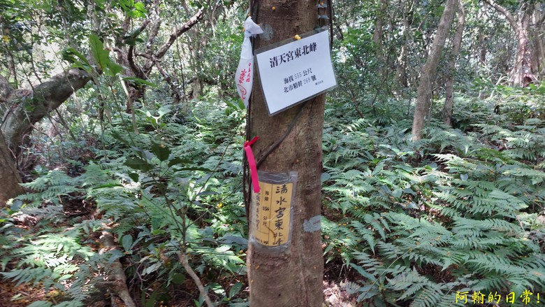 [2024 台北大縱走第一段] 捷運關渡站 → 二子坪遊客服務站｜一路向上走
