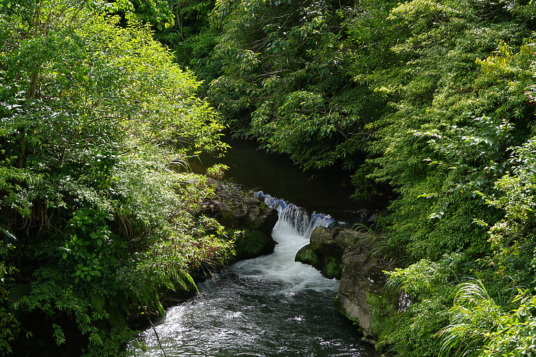 點我看大圖 Tamron 50-300mm f/4.5-6.3 Di III VC VXD(A069)評測報告|戶外取景更便利、近攝能力同步升級!