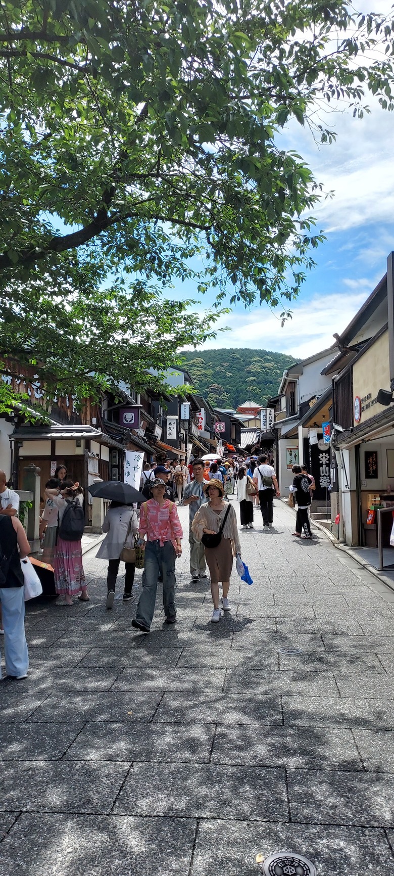 day 3京阪累死之旅