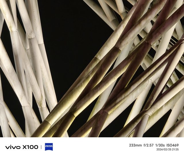 vivo X100！2024標準版の影像王者！