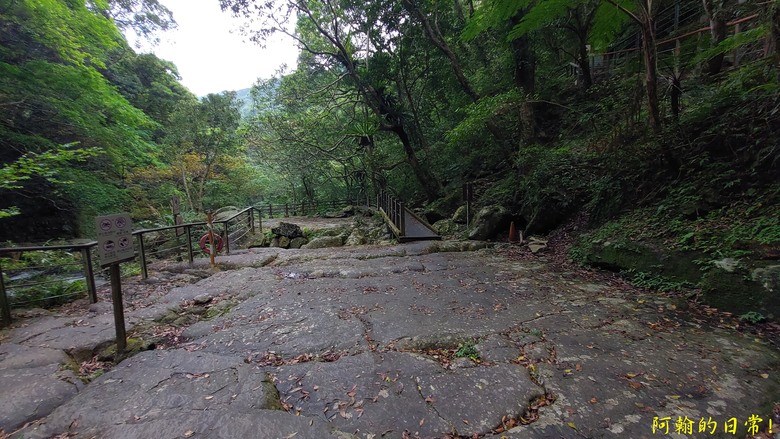 [踢不爛大地遊戲] 輕鬆健行、觀瀑心靜，享受芬多精與負離子 滿月圓國家森林遊樂區步道群