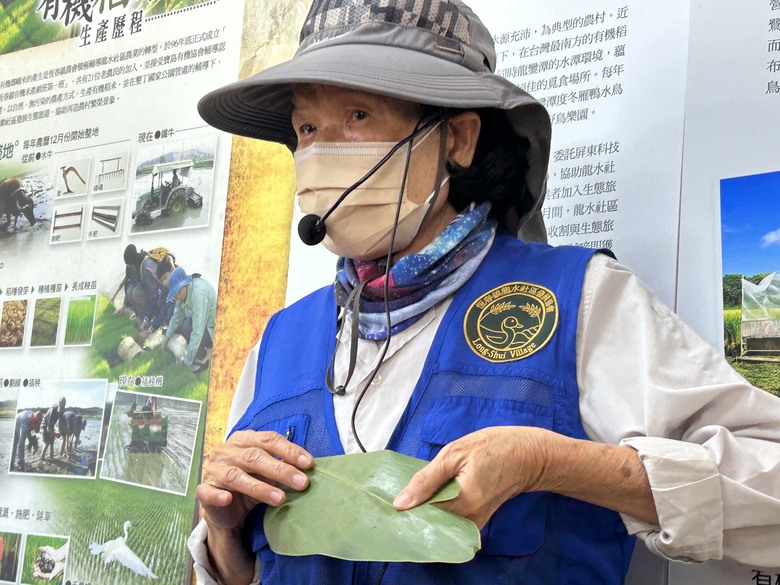 【小惡魔畫蛇添福】騎遊恒春龍水社區生態旅遊(紅龜粿DIY、摸蜆體驗)