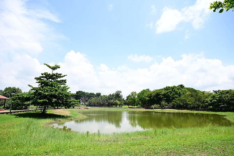 Z9+663梅雨季拍燕子，介紹落日灣、右岸濕地、鵬村濕地和鳥仔咖。加映Z6III拍燕子及崁頂生態公園。