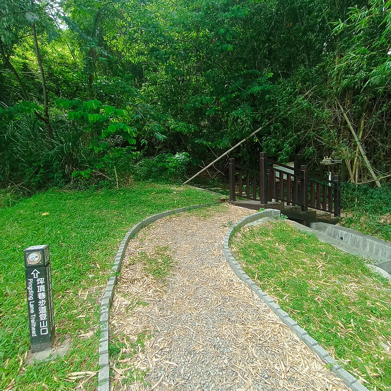 點我看大圖 豐原公老坪蜈蚣崎登山步道,舒適遼闊低難度的登山步道
