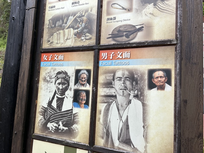 梨山賓館希利克步道森林健行