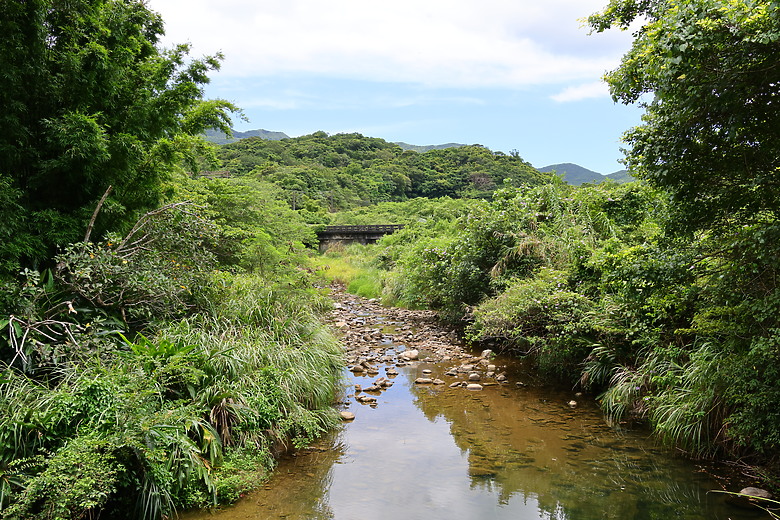 點我看大圖 Sigma 18-50mm f/2.8 DC DN 評測報告 ft. EOS R7 |前進 RF-Mount 的試金石、APS-C 玩家首選!