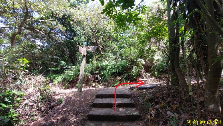 [2024 台北大縱走第五段] 捷運劍潭站 → 碧山巖｜遇到不知死活的眼鏡蛇｜台北市區、山巒美景 盡收眼底