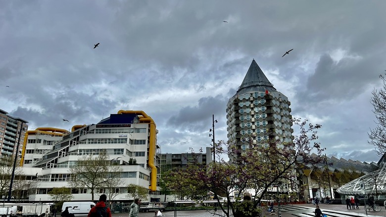 113年4月9日(星期二)鹿特丹景點住宿晚餐