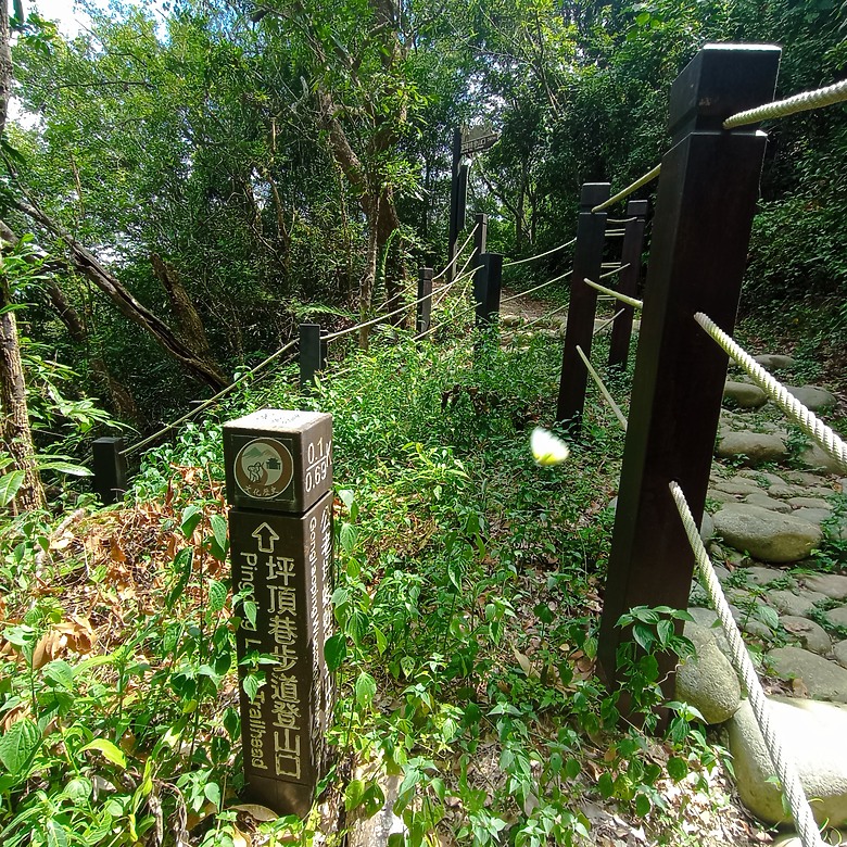 豐原公老坪蜈蚣崎登山步道，舒適遼闊低難度的登山步道