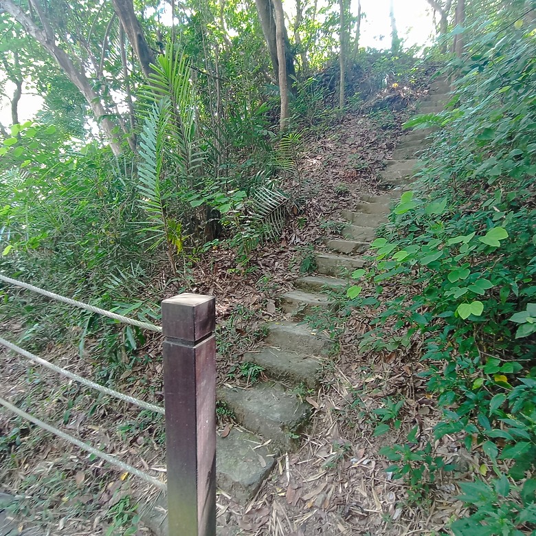 點我看大圖 豐原公老坪蜈蚣崎登山步道,舒適遼闊低難度的登山步道