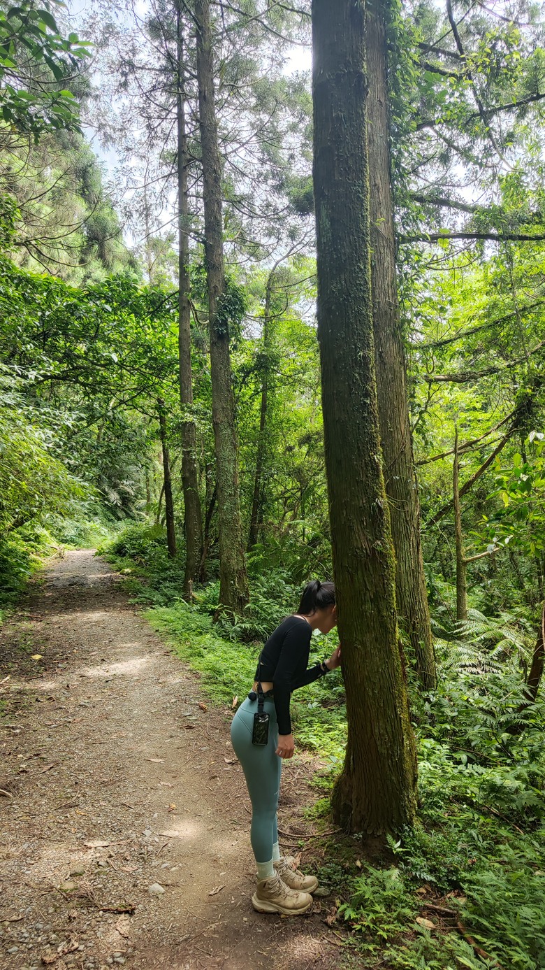 宜蘭頭城 | 最高寺廟 | 海景第一排 | 太和宮金殿