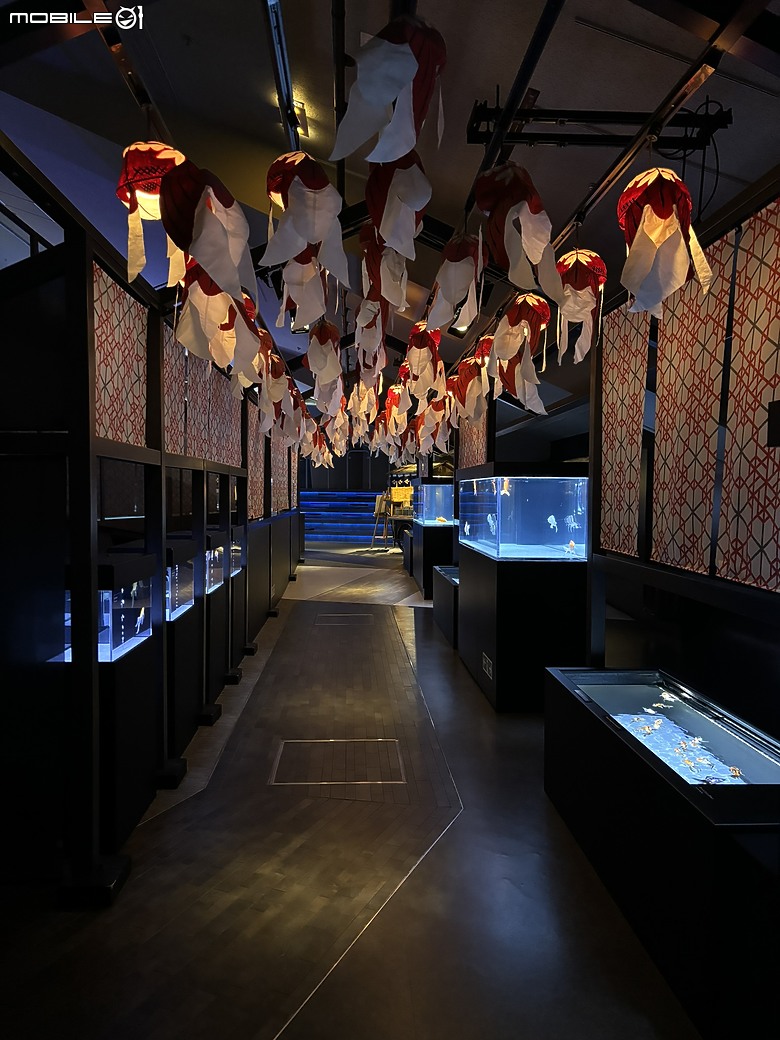 東京之旅｜東京晴空塔下的神祕的海洋奇妙冒險：墨田水族館一遊