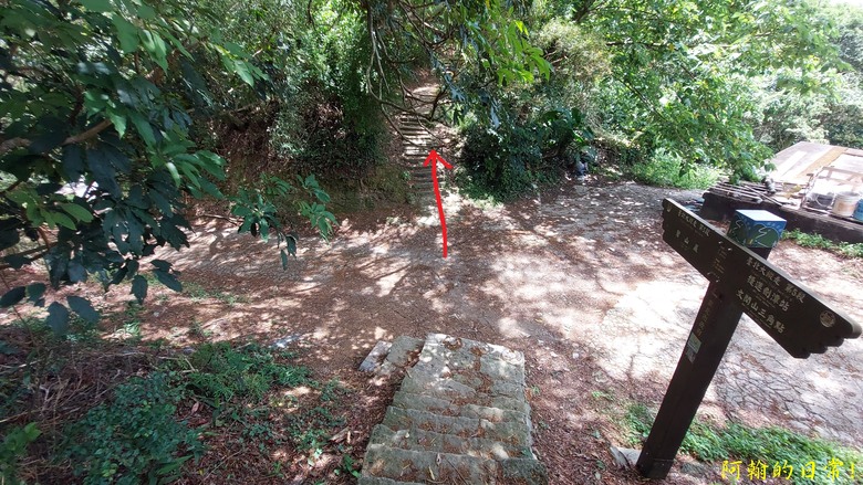 [2024 台北大縱走第五段] 捷運劍潭站 → 碧山巖｜遇到不知死活的眼鏡蛇｜台北市區、山巒美景 盡收眼底