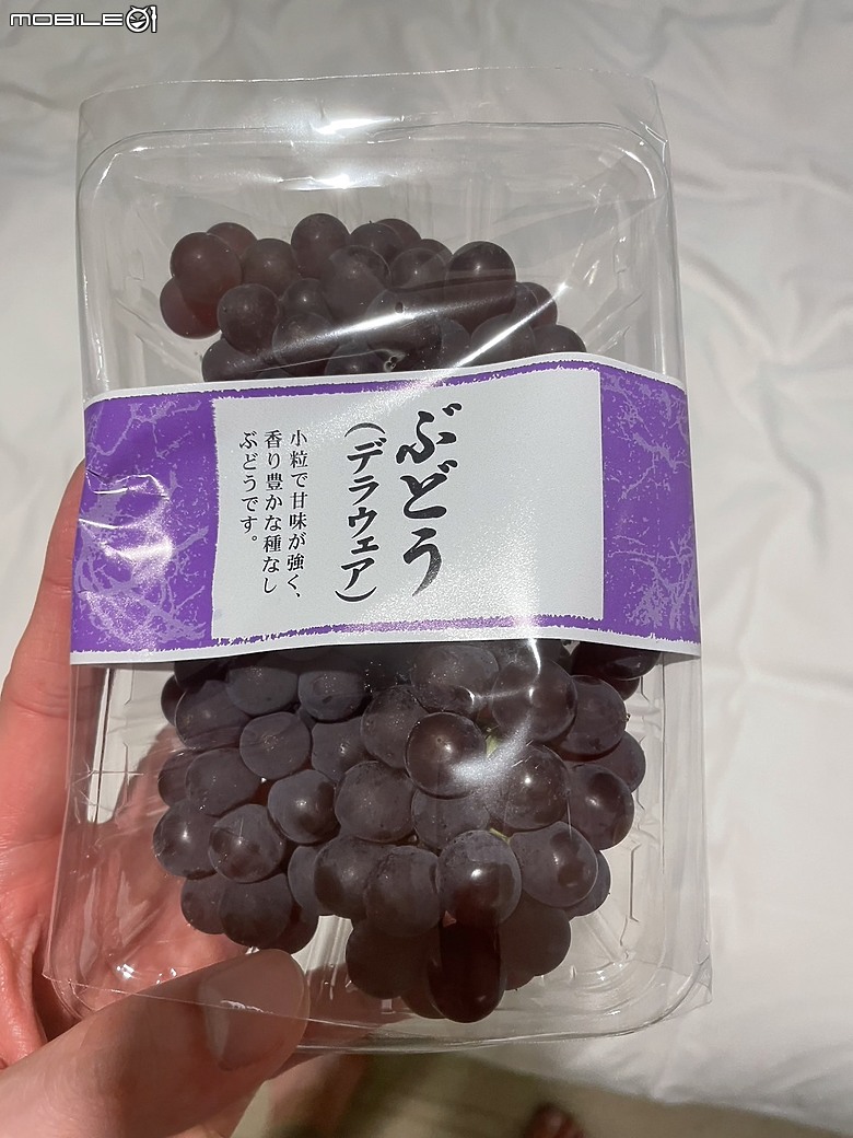 東京七天六夜自由行--迪士尼/上野/銀座/澀谷/晴空塔