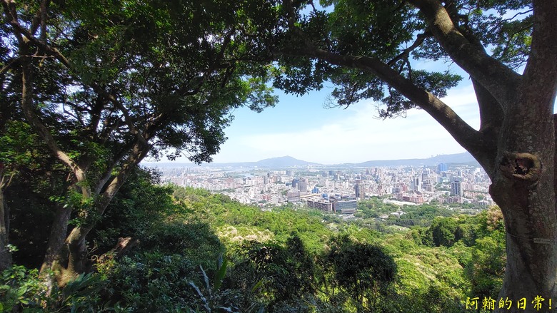 [2024 台北大縱走第五段] 捷運劍潭站 → 碧山巖｜遇到不知死活的眼鏡蛇｜台北市區、山巒美景 盡收眼底