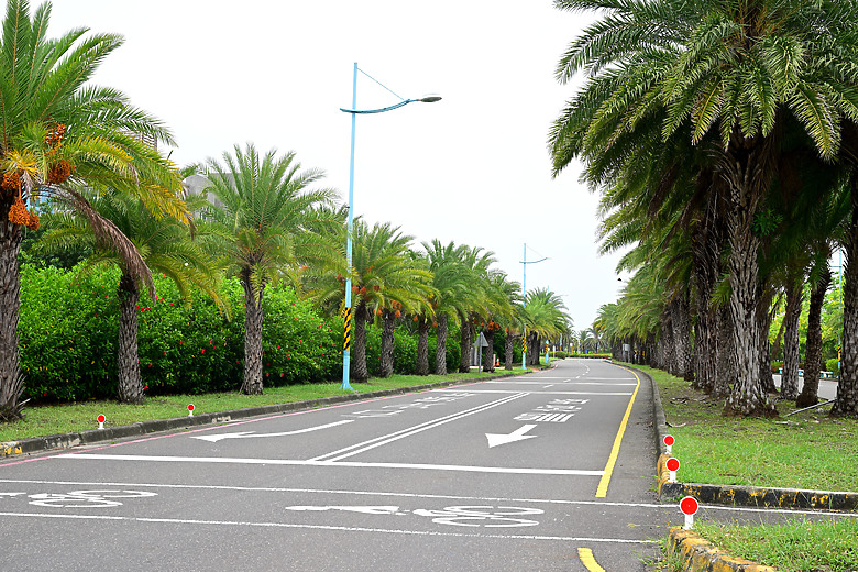 Z9+663梅雨季拍燕子，介紹落日灣、右岸濕地、鵬村濕地和鳥仔咖。加映Z6III拍燕子及崁頂生態公園。