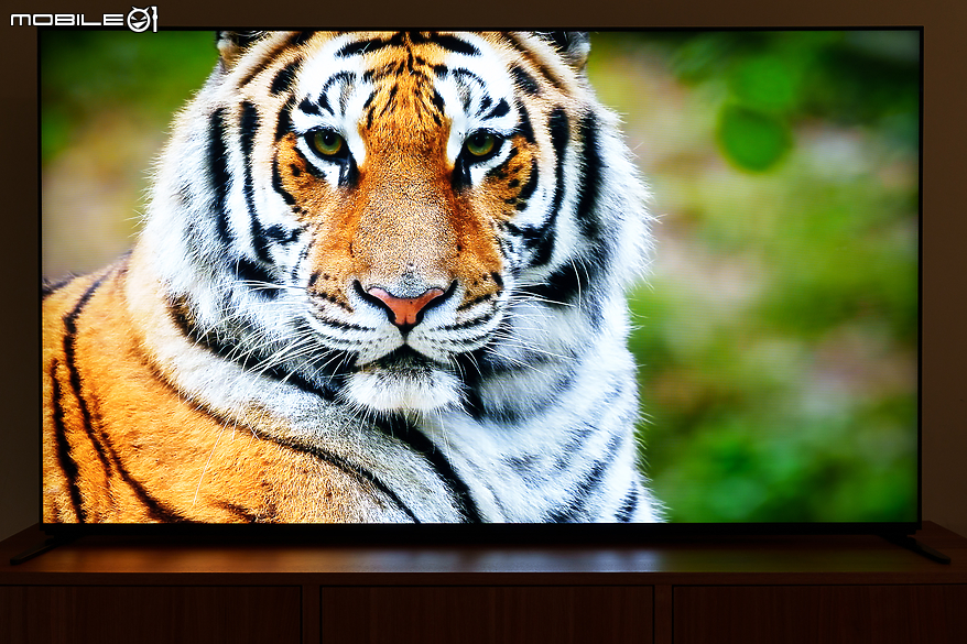 SONY BRAVIA 9 4K 智慧顯示器體驗報告｜無愧日系旗艦的視聽饗宴